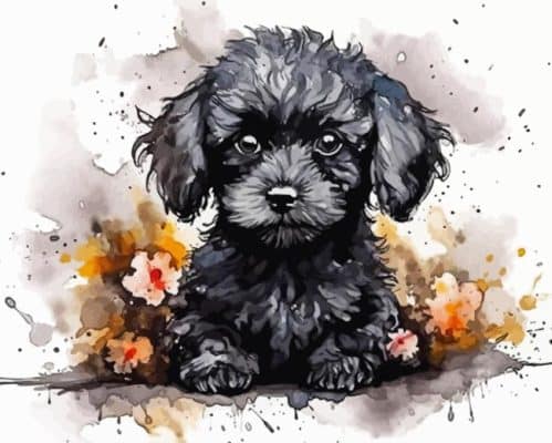 Black Poodles Dog Paint By Numbers