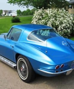 Blue 67 Stingray Paint By Numbers