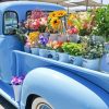 Blue Truck Flower Paint By Numbers