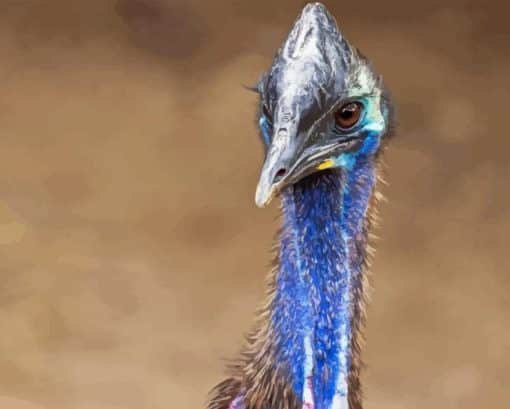 Blue Head Cassowary Paint By Number