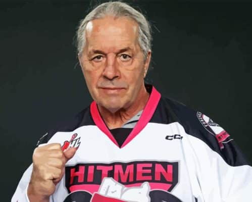 Bret Hart Wrestler Paint By Number