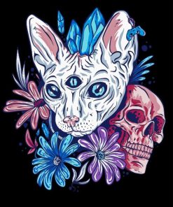 Cat And Skull Paint By Number