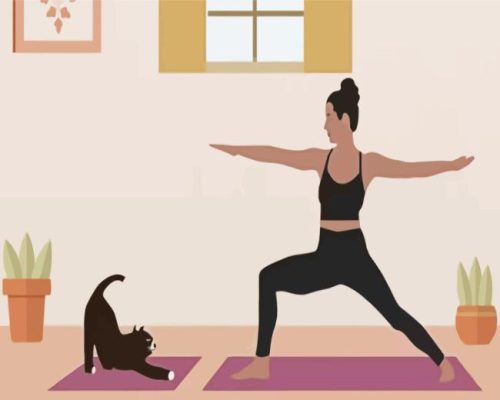 Cat Yoga Paint By Numbers