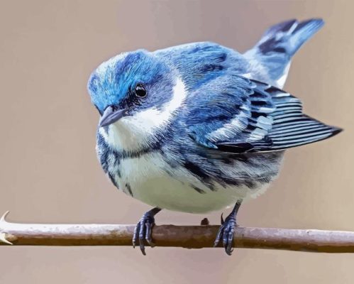 Cerulean Warbler Paint By Numbers