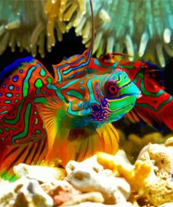 Colorful Mandarin Fish Paint By Numbers