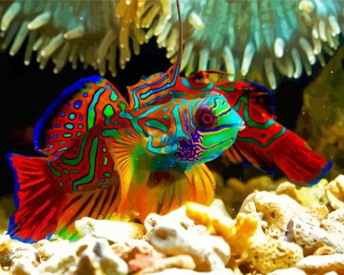 Colorful Mandarin Fish Paint By Numbers