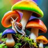 Colorful Mushroom Paint By Number