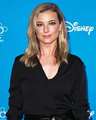 Emily Vancamp Paint By Numbers