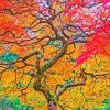 Fall Tree Paint By Number