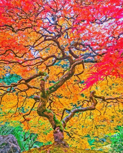 Fall Tree Paint By Number