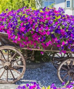 Purple Flowers In A Wagon Paint By Numbers