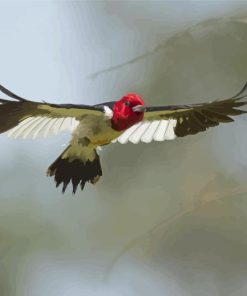 Flying Red Headed Woodpecker Paint By Number
