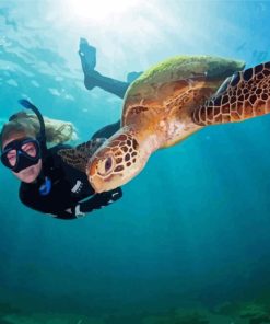Girl Snorkelling With Sea Turtle Paint By Number