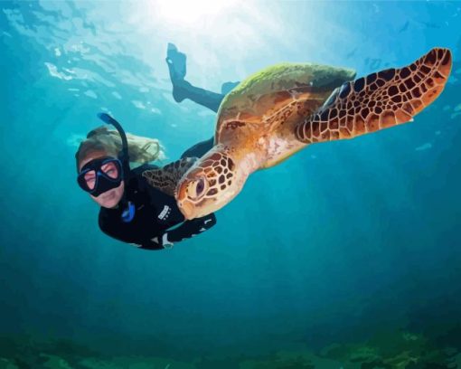 Girl Snorkelling With Sea Turtle Paint By Number