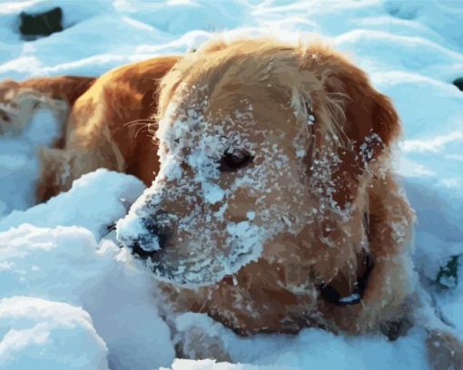 Golden Retriever Dog Paint By Numbers