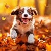 Happy Autumn Puppy Paint By Numbers