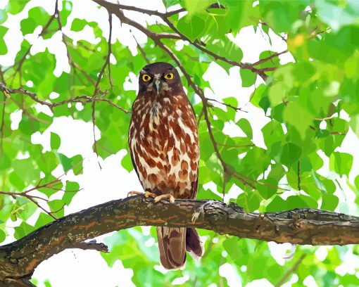 Hawk Owl With Green Leaves Paint By Number