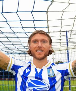 Sheffield Wednesday Jeff Hendrick Paint By Numbers