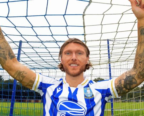 Sheffield Wednesday Jeff Hendrick Paint By Numbers