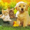 Kittens And Golden Puppy Paint By Number