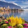 Lake Geneva Switzerland Paint By Numbers