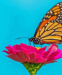 Monarch Butterfly On Pink Zinnia Paint By Number