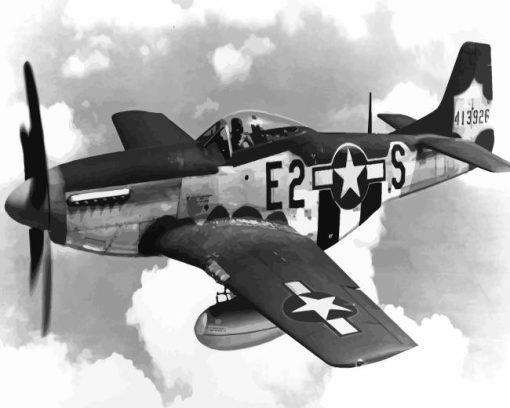 Black And White Mustang Plane Paint By Numbers