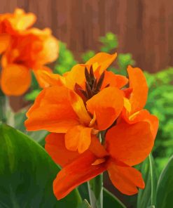 Orange Canna Lily Paint By Numbers