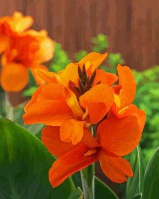 Orange Canna Lily Paint By Numbers