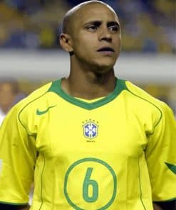 Brazilian Footballer Roberto Carlos Paint By Number