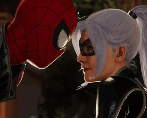 Spider Man And Felicia Hardy Paint By Numbers