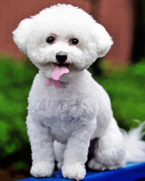 White Miniature Poodle Paint By Number