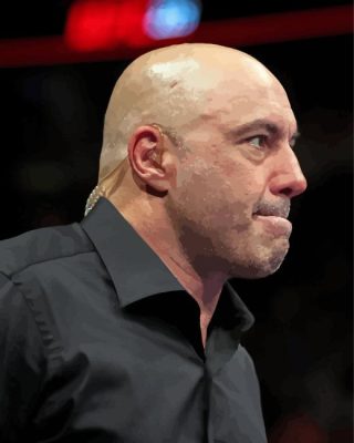 Joe Rogan Paint By Number