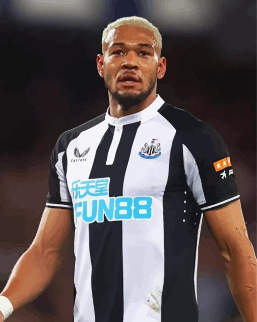 Joelinton Brazilian Footballer Paint By Numbers