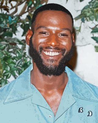 Kofi Siriboe Paint By Numbers