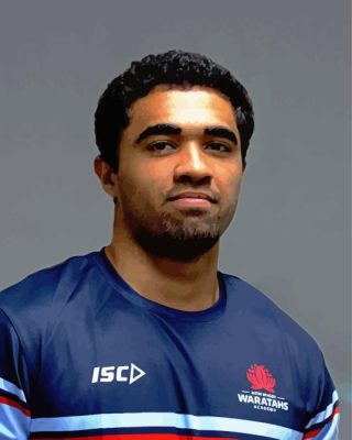 Langi Gleeson Waratahs Paint By Number