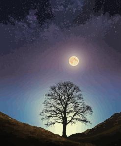 Moonlight Sycamore Gap Paint By Numbers