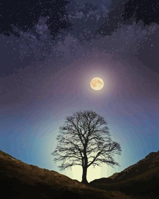 Moonlight Sycamore Gap Paint By Numbers