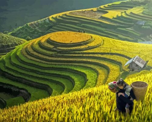 Mother And Daughter In Rice Terraces Paint By Numbers