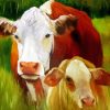 Mother And Baby Cow Paint By Numbers