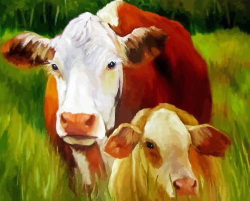 Mother And Baby Cow Paint By Numbers