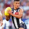 Nick Daicos Paint By Numbers