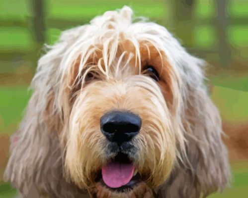 Otterhound Dog Paint By Numbers