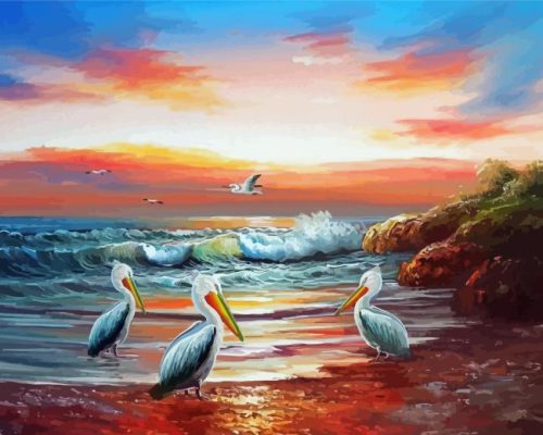 Pelicans At The Beach Paint By Number