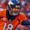 Peyton Manning Paint By Number