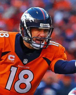 Peyton Manning Paint By Number