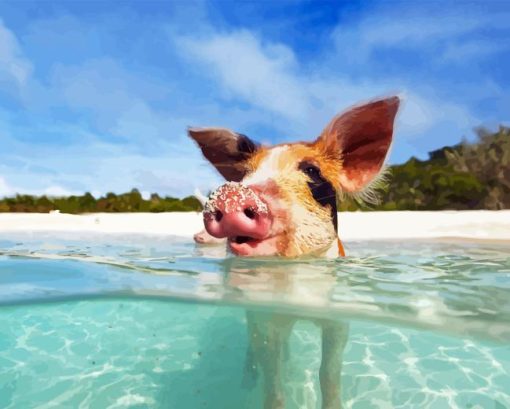 Pig In The Beach Paint By Number