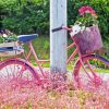 Pink Bicycle Paint By Numbers