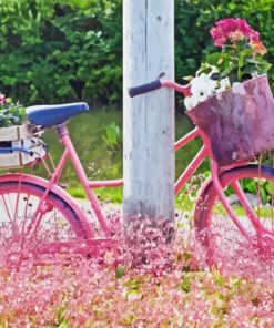 Pink Bicycle Paint By Numbers