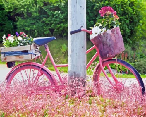 Pink Bicycle Paint By Numbers